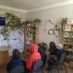 Бібліотечний простір в Шибенській сільській бібліотеці